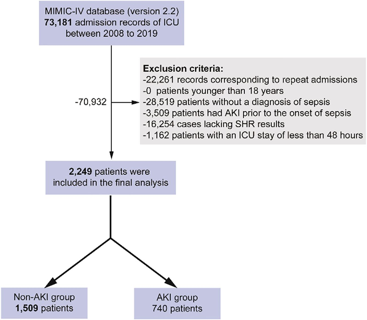 シンプル Amazon.com: YOKOHAMA 285/35R19 103Y XL ADVAN APEX V601 BW