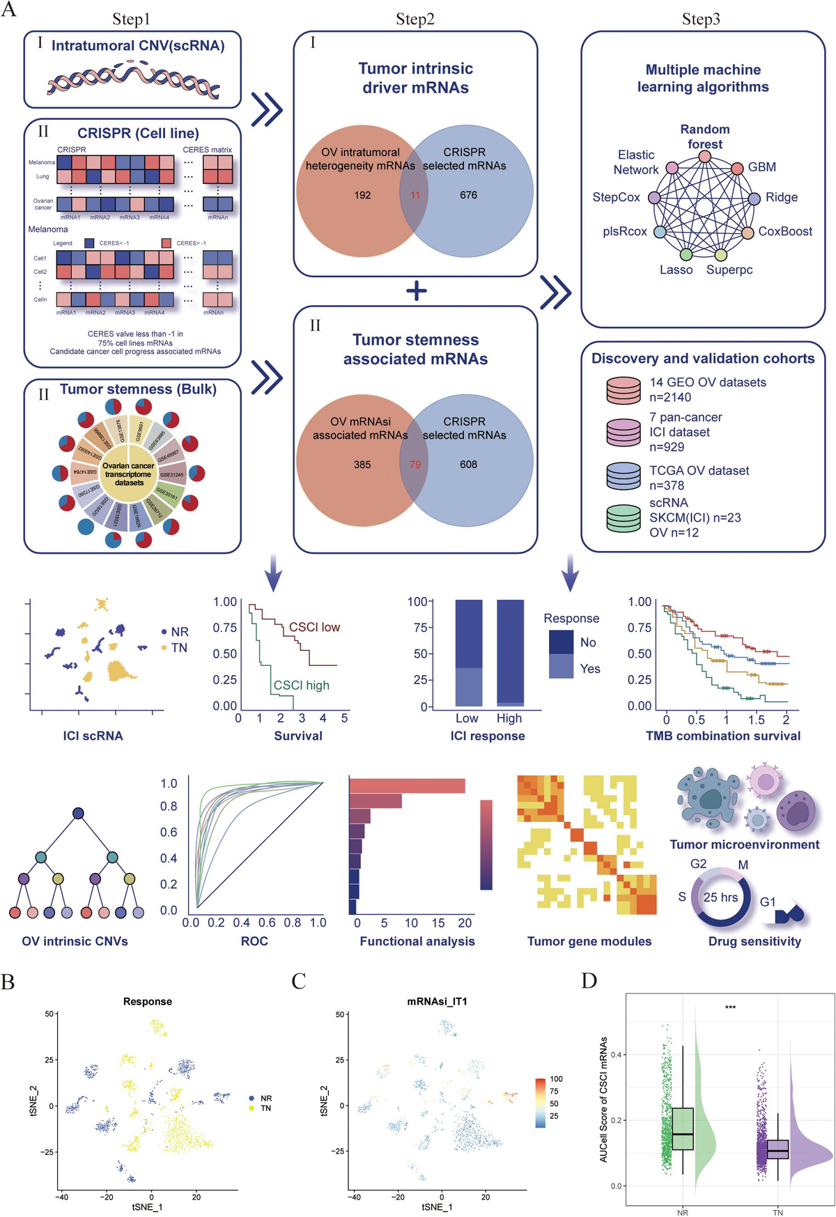 Frontiers | Multi-omics analysis and experiments uncover the