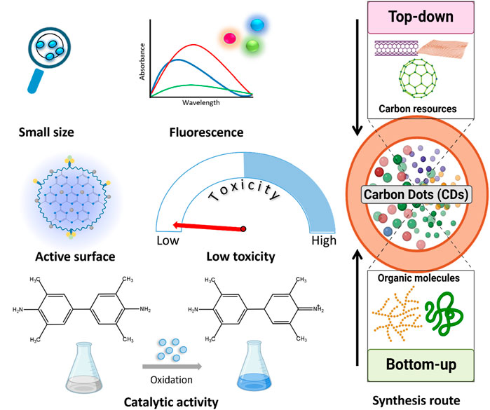 Emerging Perspectives in Zinc Transporter Research in