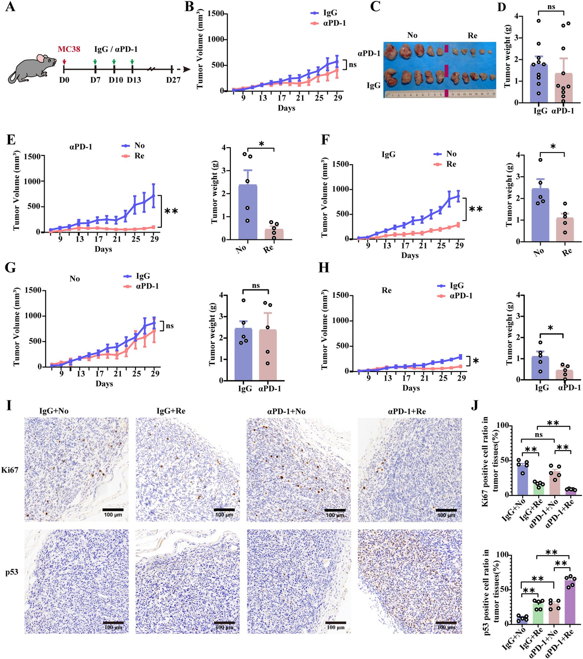 キム Boosting ubiquitin-proteasome system-mediated androgen