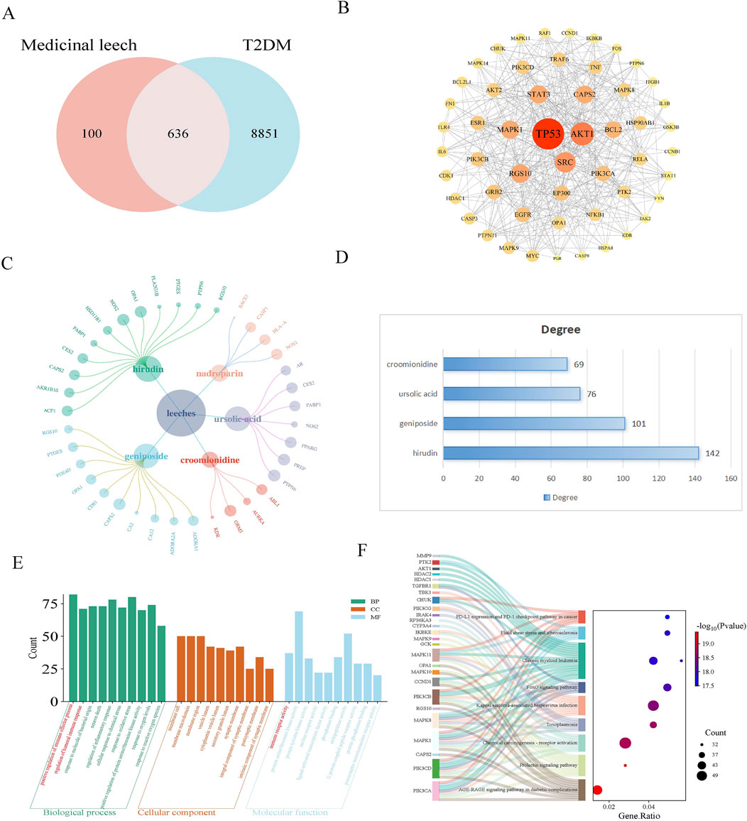 Frontiers | Explore potential immune-related targets of