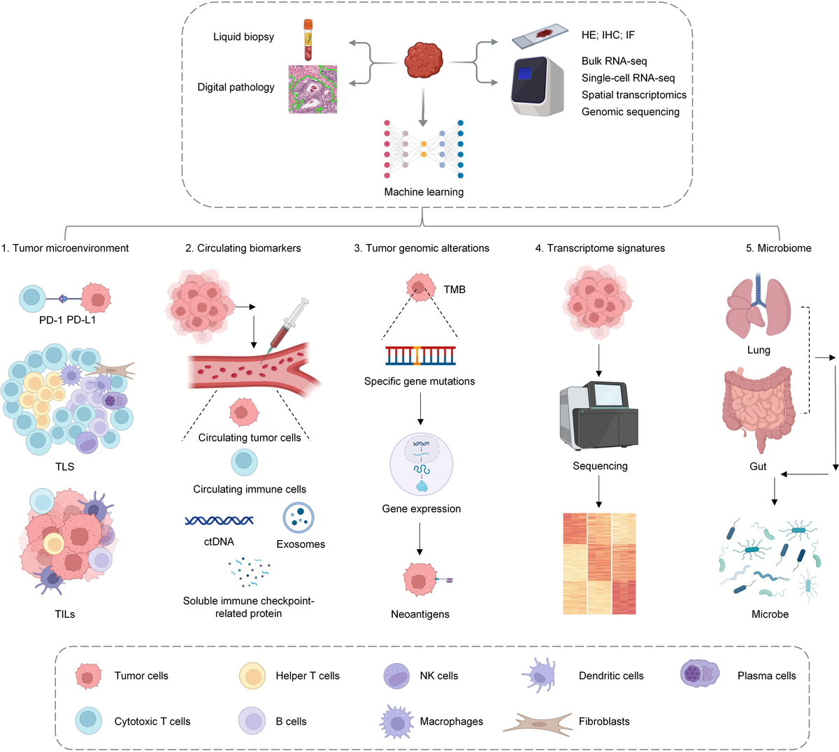 チェックメイトセット Frontiers | Comprehensive analysis of single-cell and bulk
