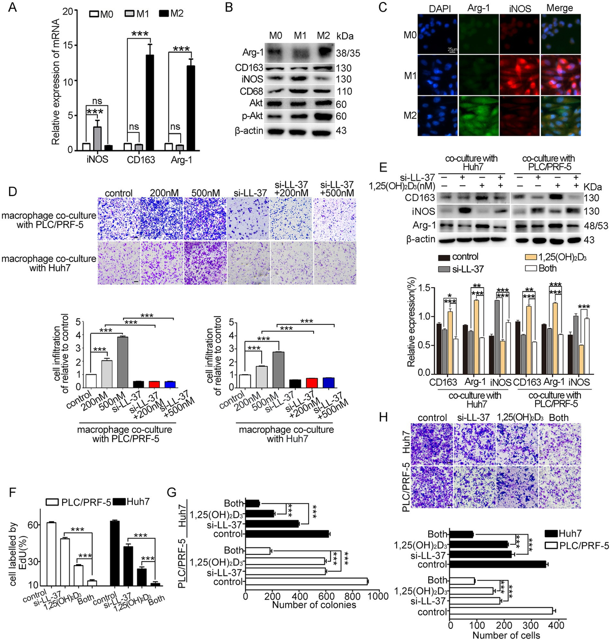 Highly Efficient DCL, UCL, and TPEF in Hybridized Ln