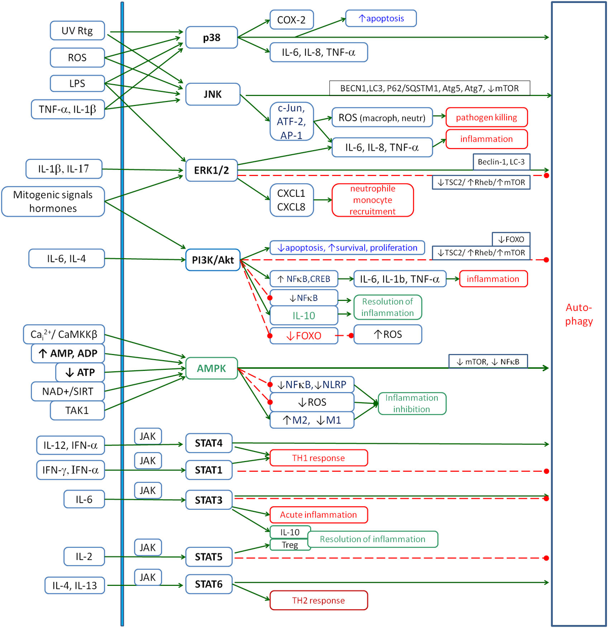 雑誌で紹介された Frontiers | Understanding chronic inflammation: couplings ピンズ・ピンバッジ・缶バッジ