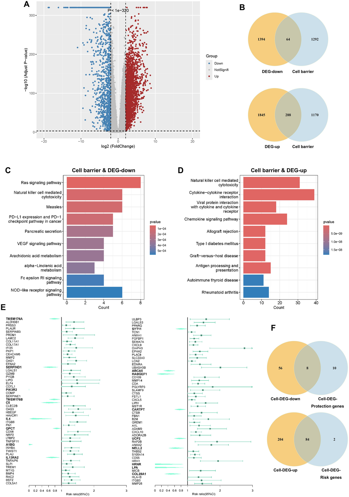 ２ Frontiers | Innate immune cell barrier-related genes inform