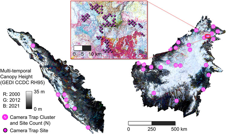 Frontiers | The utility of dynamic forest structure from