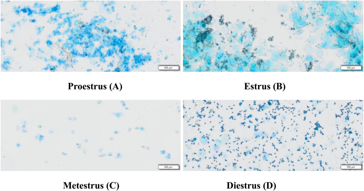 Graphene-Thickness-Dependent Graphene-Enhanced Raman