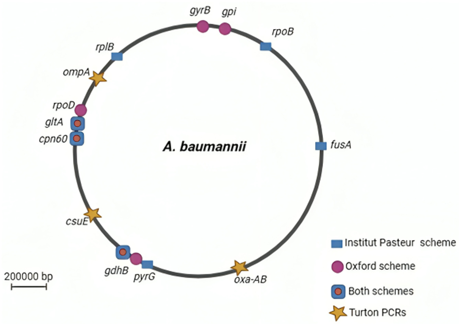 Porno kotibi anusni yalaydi