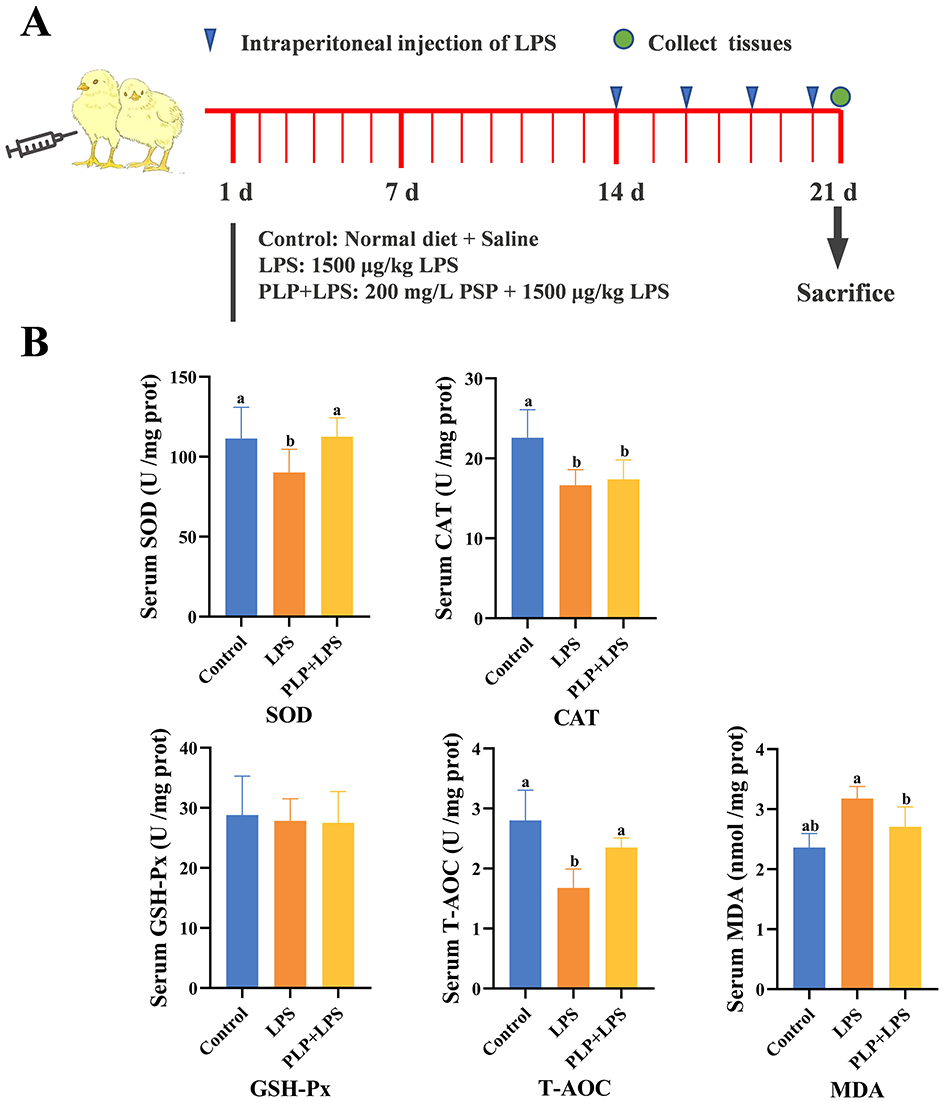 マシン GH-1880ZX, 3-1/8in Spindle Bore Geared Head Lathe | JET Tools