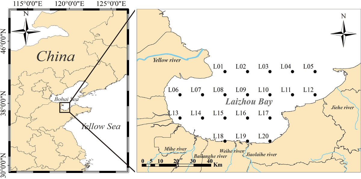 Frontiers | Comparative study of the characteristics of the