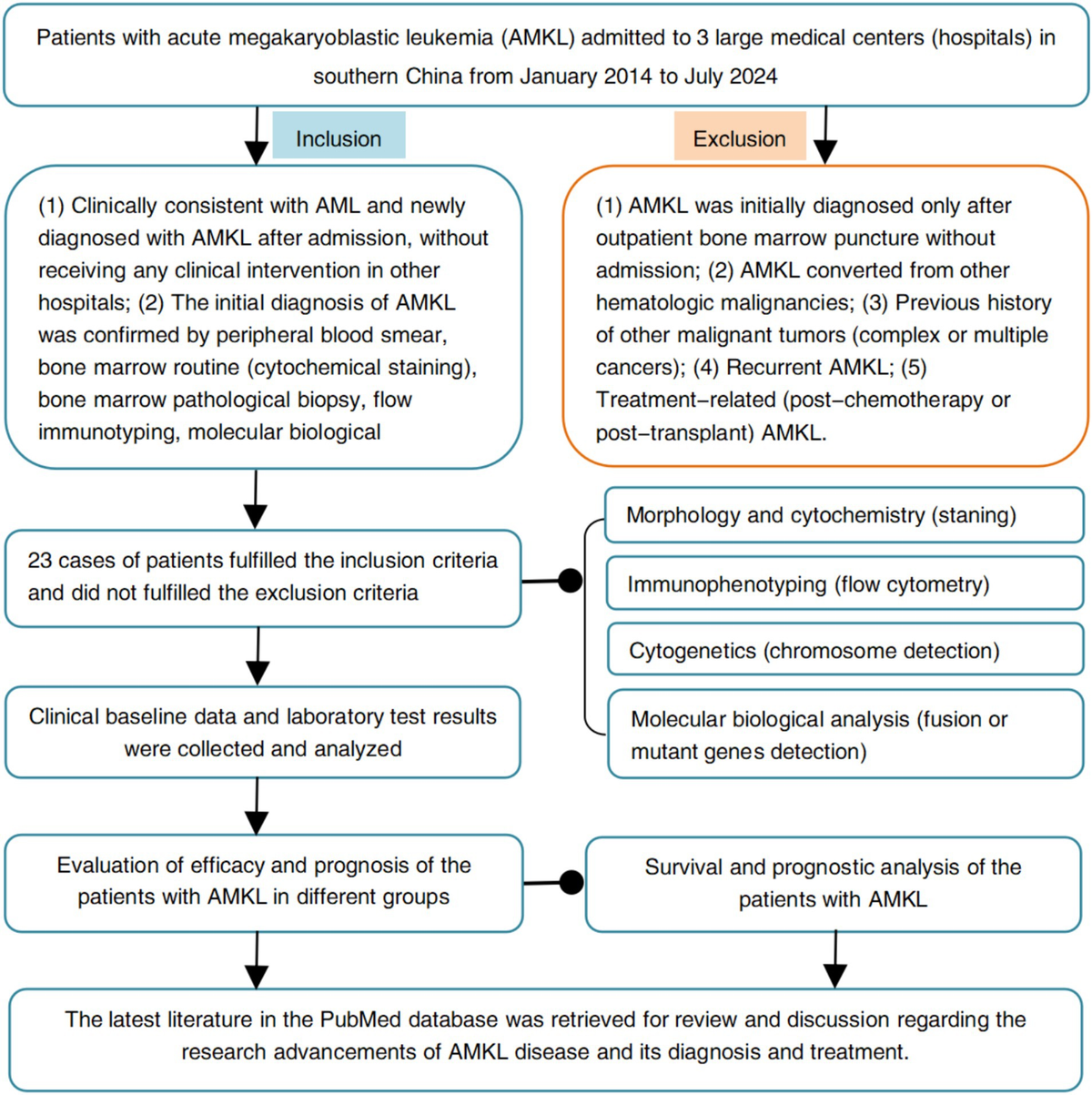 その他 T Zero Gravity Kawasaki ZX-10R 11-15 Corsa Windscreen
