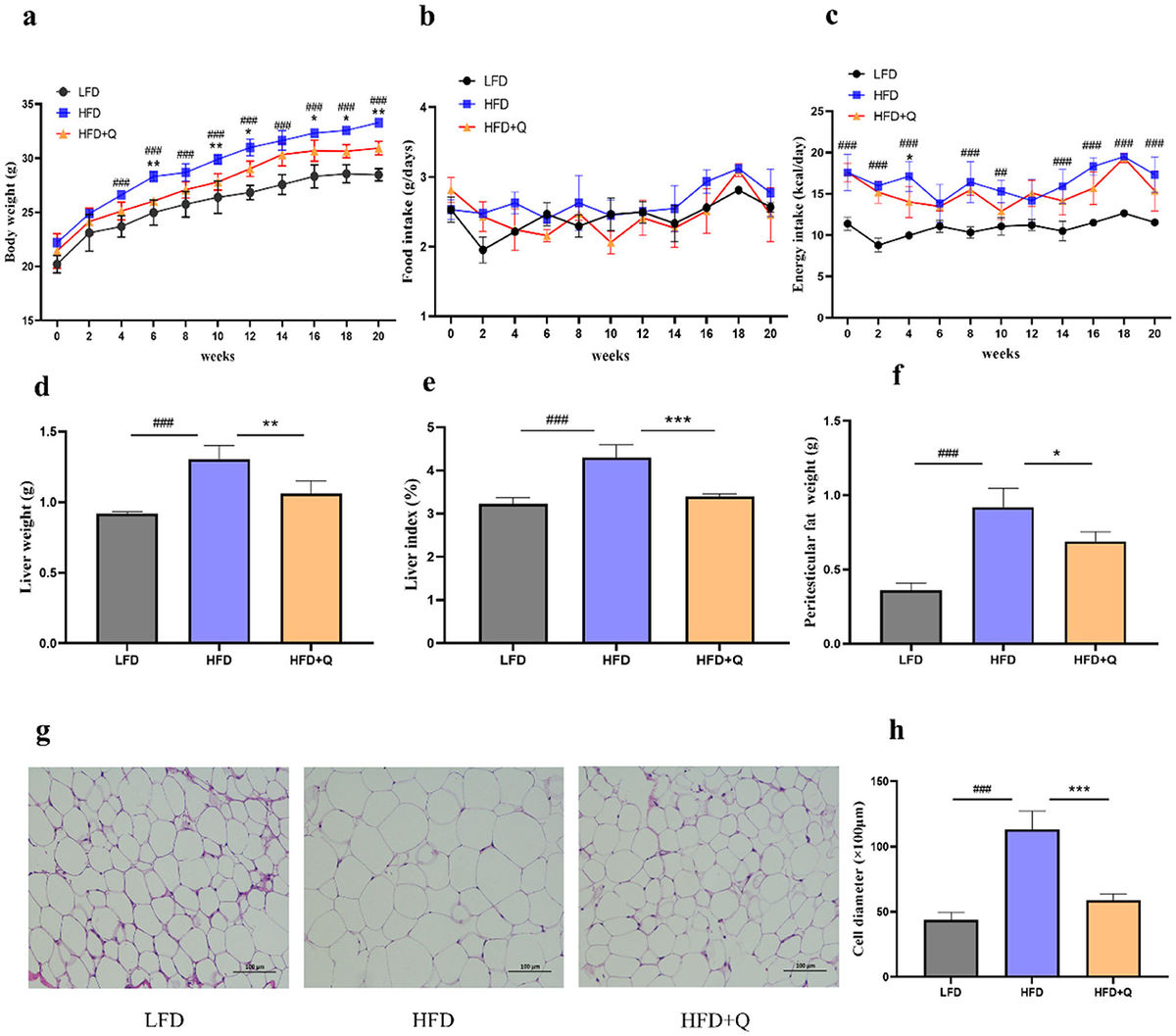 Frontiers | Quercetin ameliorates obesity and inflammation