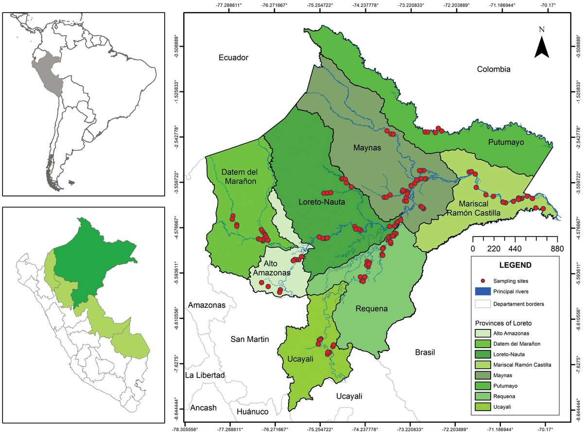 Frontiers | Development and phenotypic characterization of a