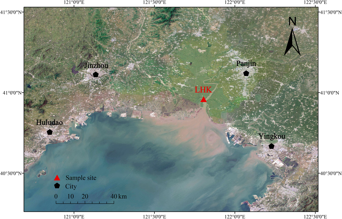 Frontiers | Long-term dynamics and driving mechanisms of