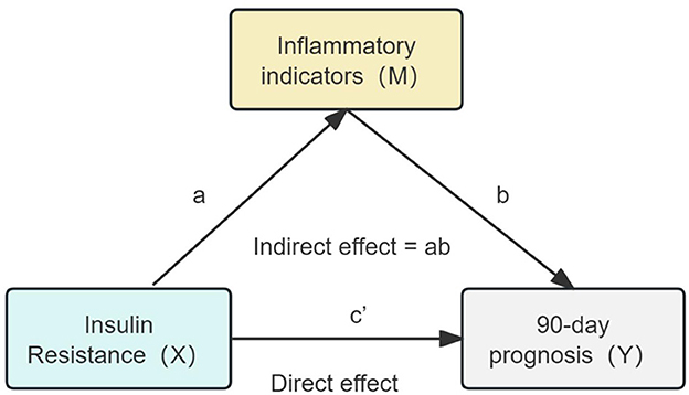 Frontiers | The mediation of systemic inflammation on