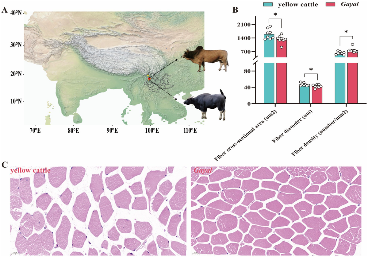 mty様 KAWASAKI NINJA ZX-10R / ABS 1000 CC (2011) Valve stem seal