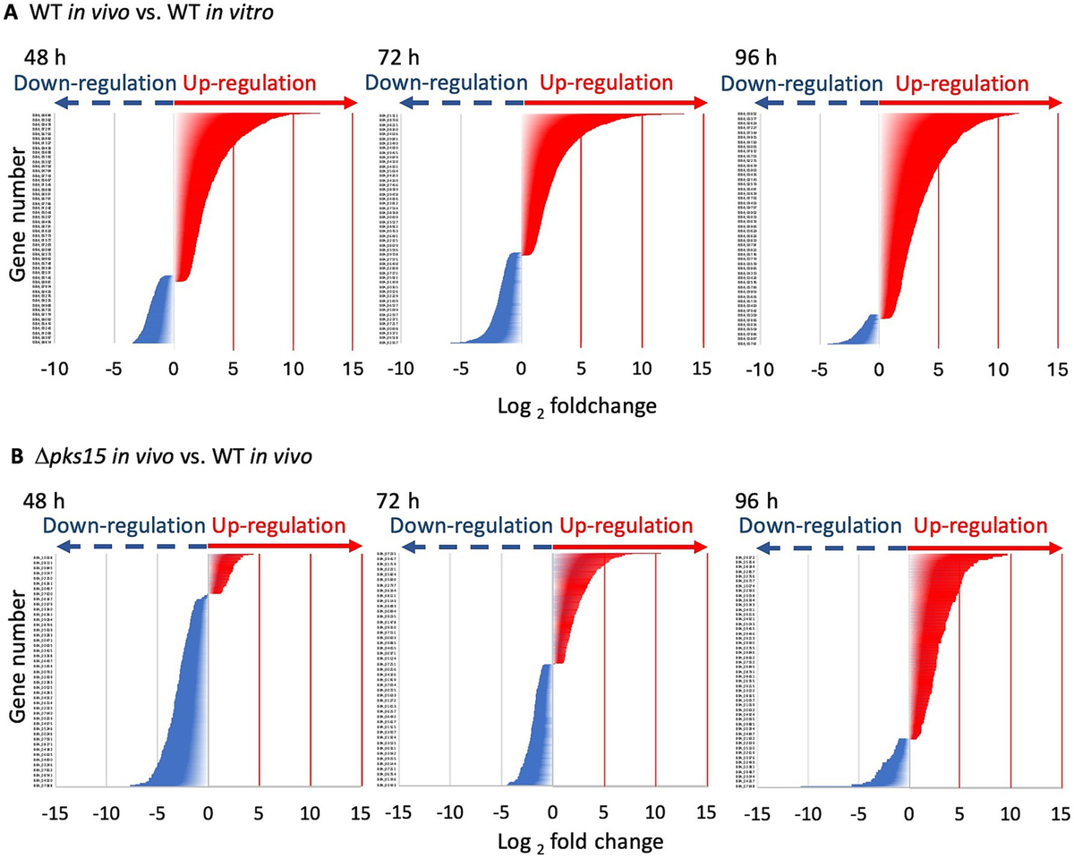 Frontiers | Transcriptomic insights into the interplay