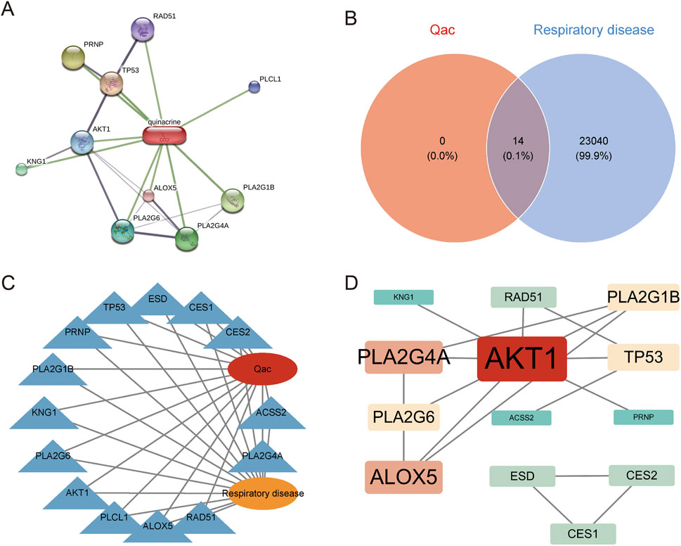 Frontiers | Toxicity mechanism analysis of cGAS-STING-TBK1