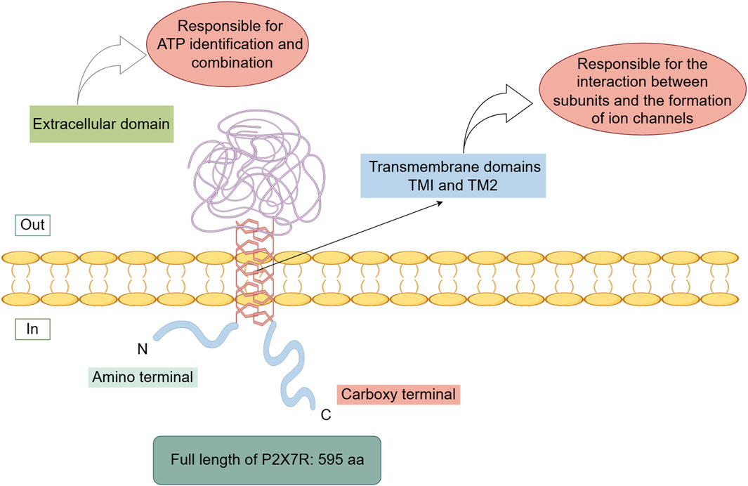 hyuman専用 1pcs new stock for Rexroth R901102727 HED 8OA-20 / 200K14S relay