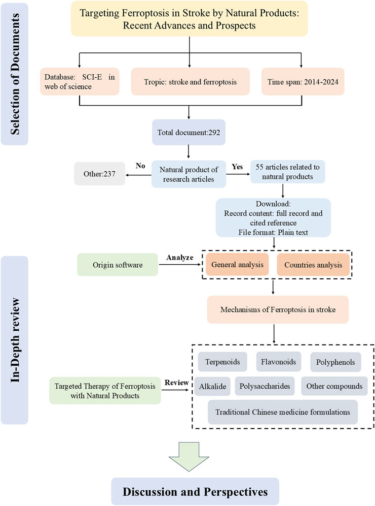 Frontiers | Targeting ferroptosis with natural products in