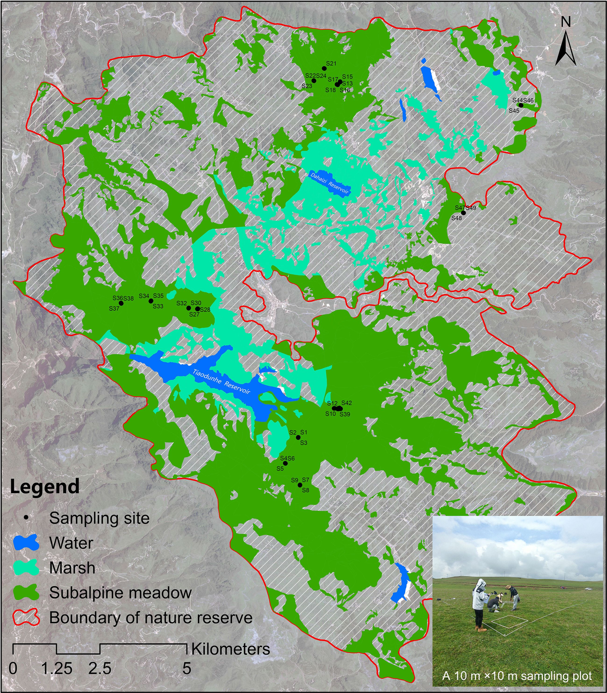 Frontiers | Assessing grassland degradation based on abrupt