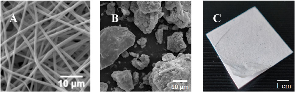 Frontiers | Efficacy of indigo naturalis nanofibrous patches