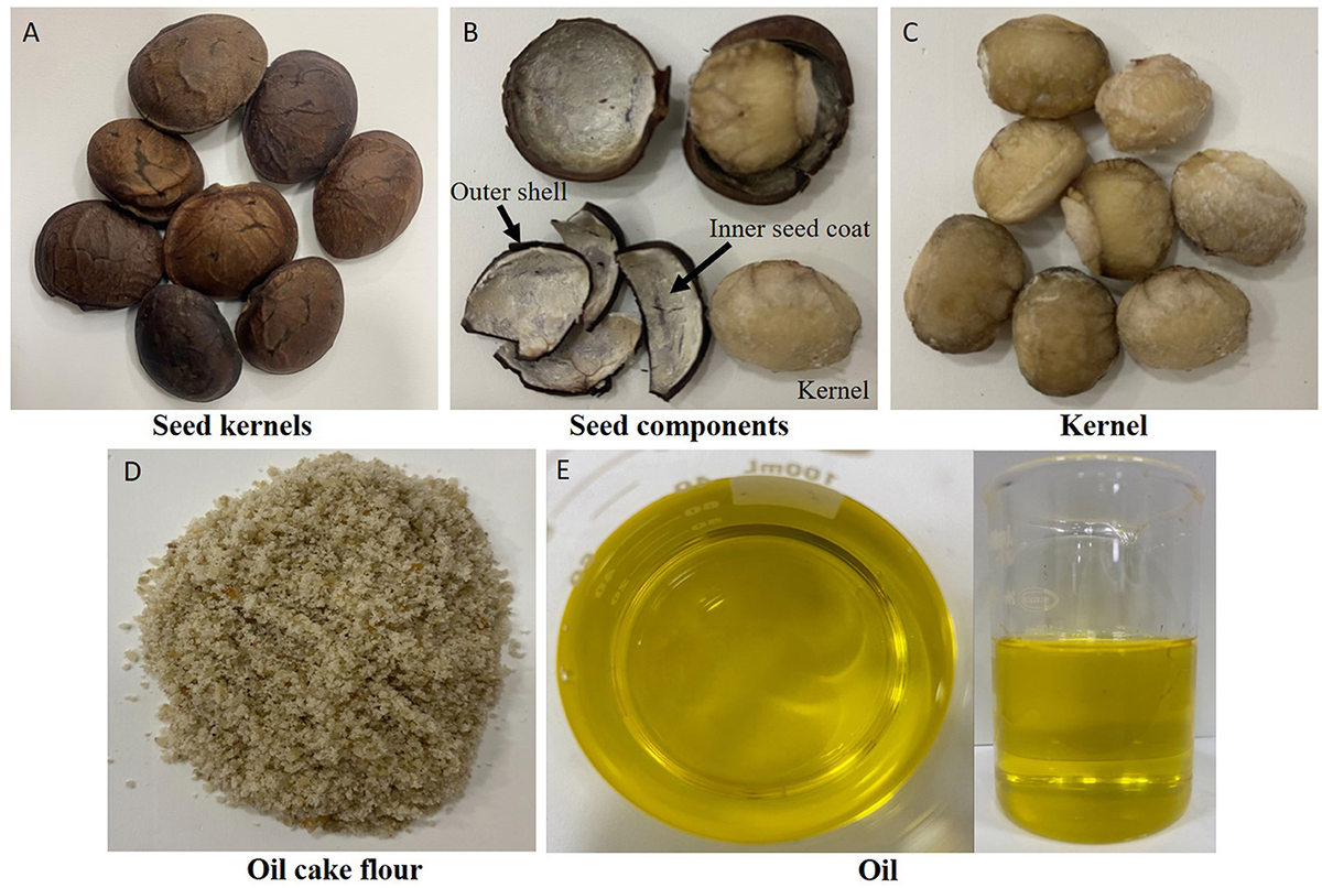 【ICHI】seed and soil fnut-12-1597300-g001.jpg