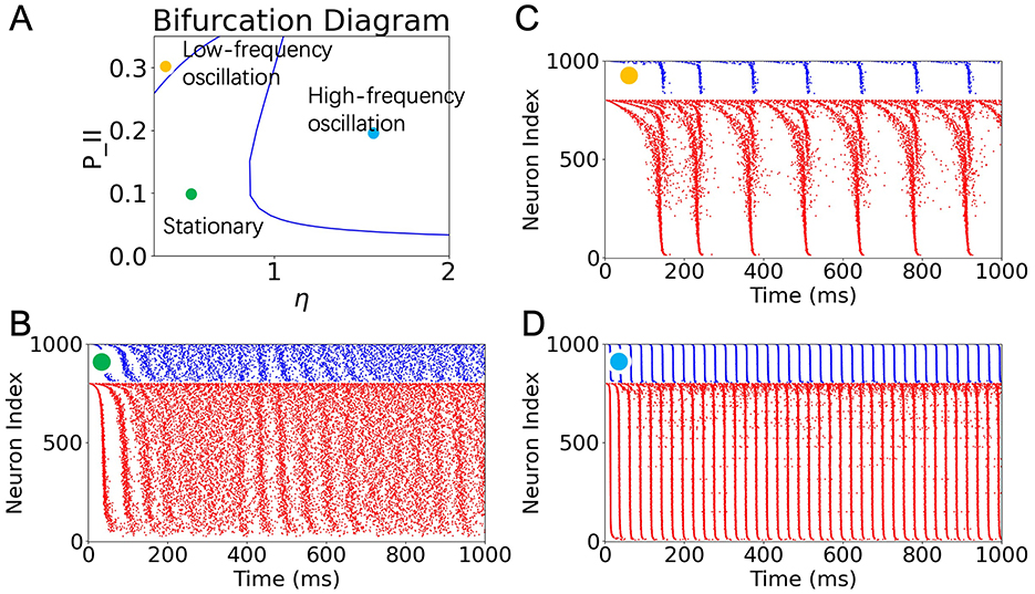 Frontiers | Neural oscillation in low-rank SNNs: bridging