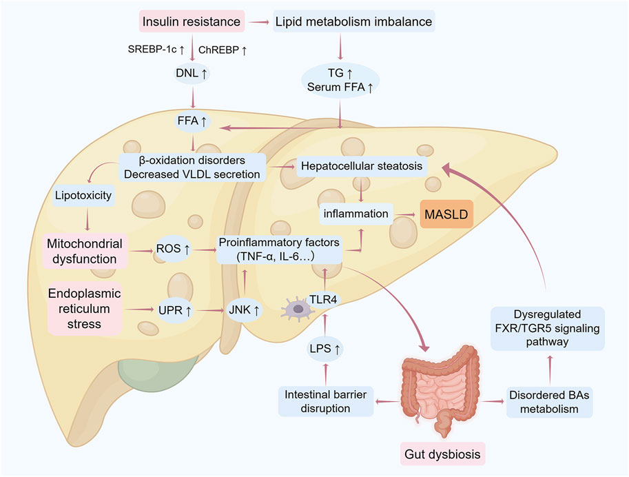 その他 SU ZX-DECL-PSSET-(1)(W)｜テルワールド（NTT中古ビジネスフォン