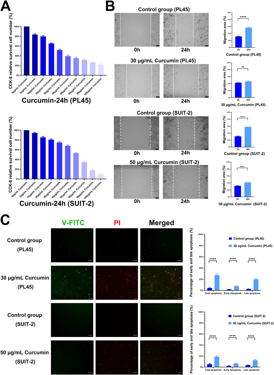 Frontiers | Mechanistic insights curcumin's anti