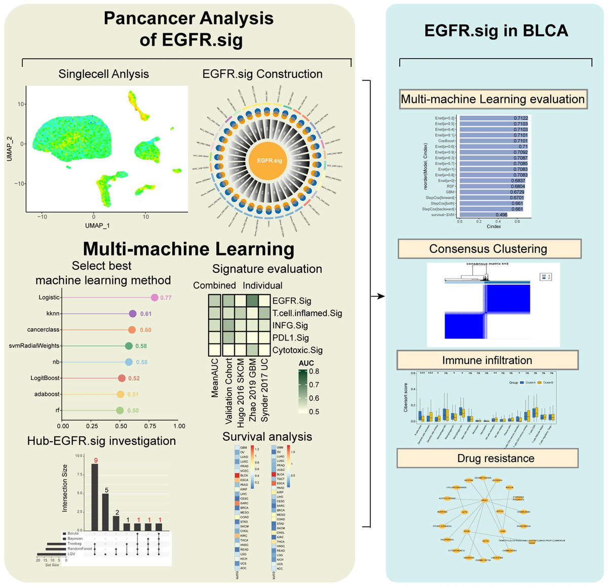 Frontiers | Comprehensive analysis of single-cell and bulk