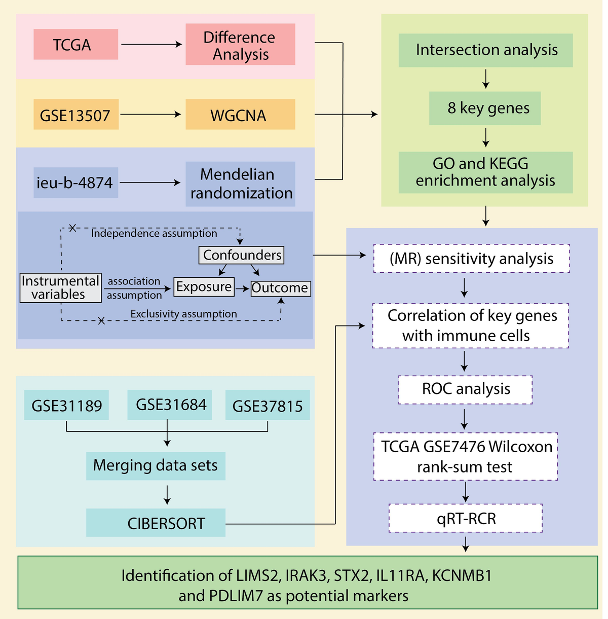Frontiers | Exploring of bladder cancer immune-related genes