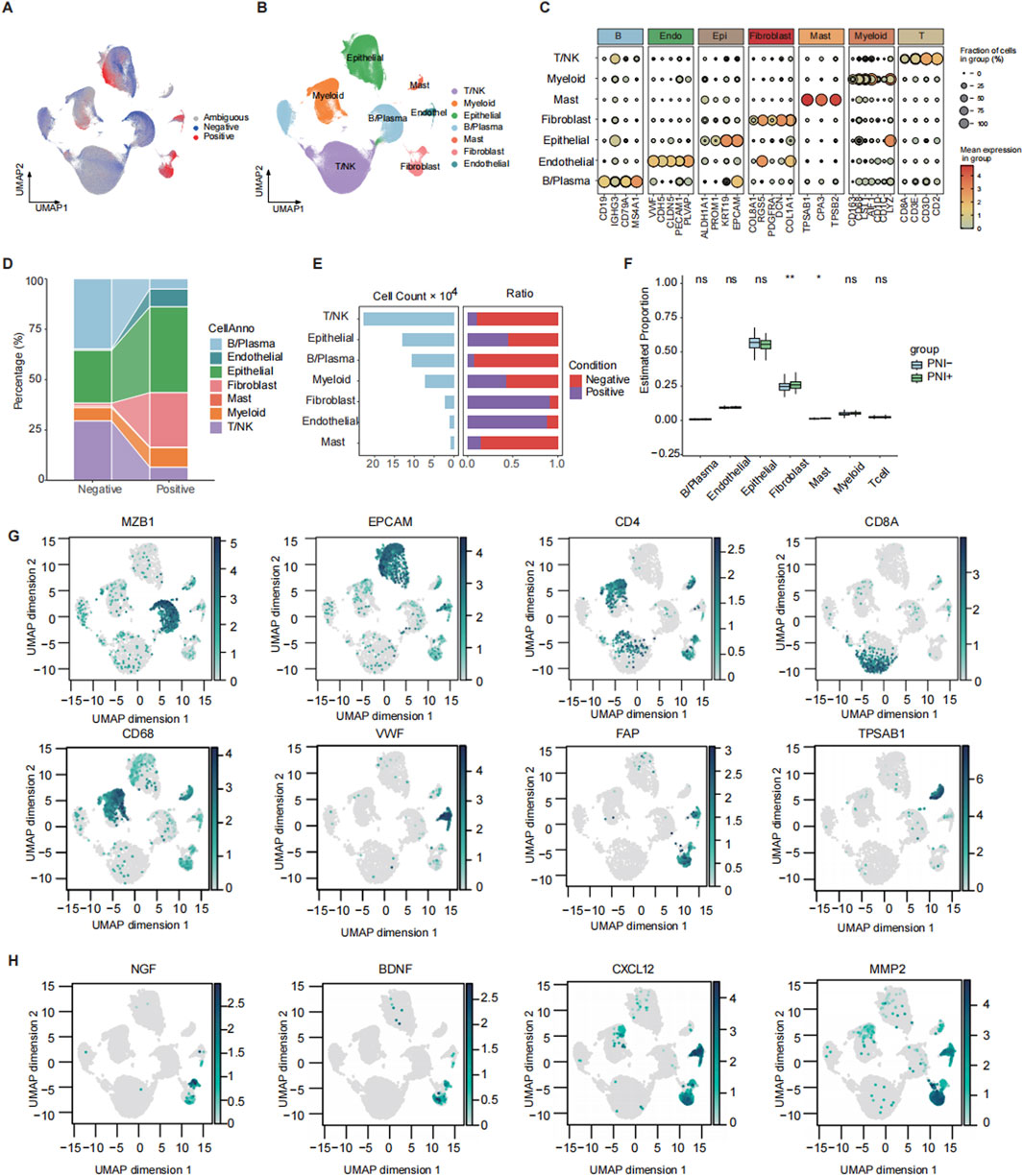 Frontiers | Single-cell and bulk RNA-sequencing reveal PRRX2