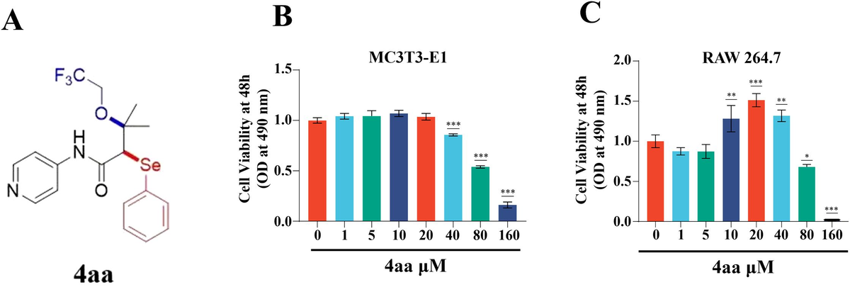 Frontiers | The novel organoselenium compound 4aa ameliorates