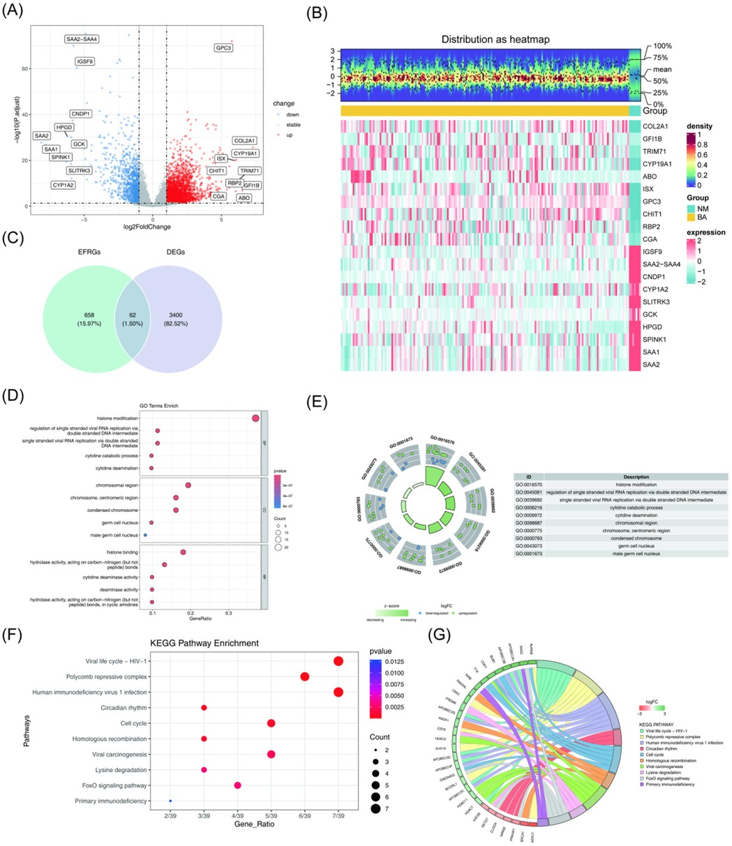 Frontiers | Research on biliary atresia and epigenetic factors