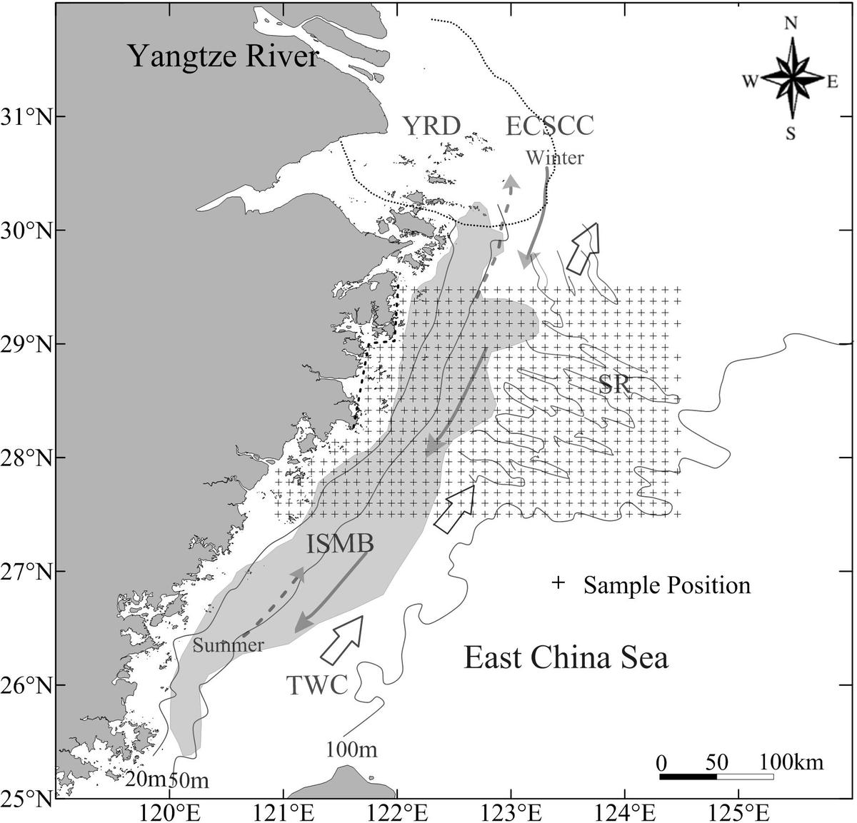 Frontiers | Characteristics and distribution of surface