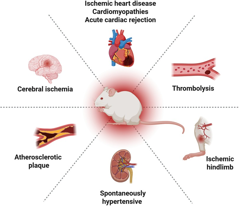 pan様 IMG_3002.jpg?v=1749997427