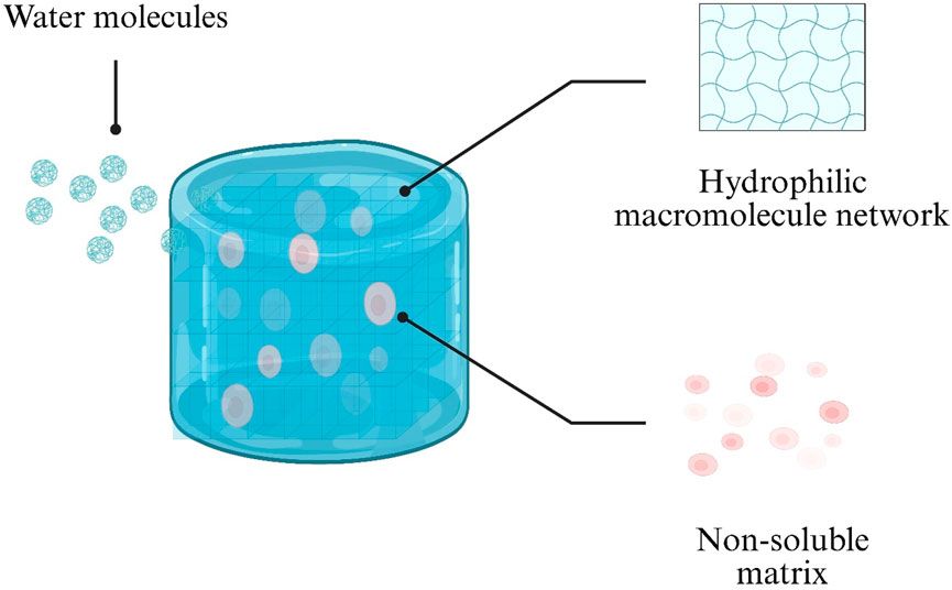 コアミーセット Unveiling the methionine cycle: a key metabolic signature