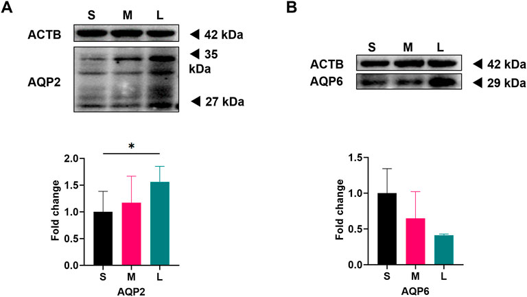 アン Back in the 80's this famous poster was pinned up inside of