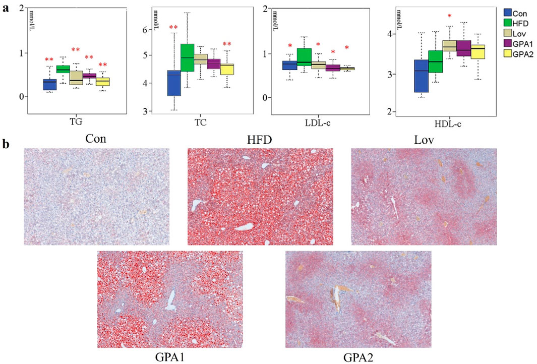 その他 KON Frontiers | Integrated metabolomics and network pharmacology to