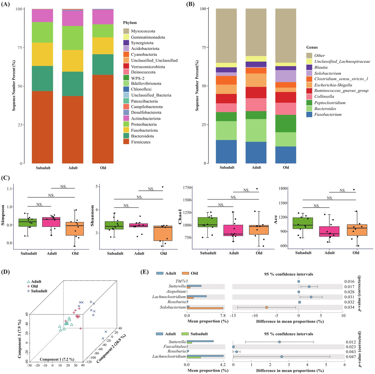 Revealing Amur tiger family pedigrees based on age identification using  fecal microbiome and kinship analysis - Frontiers