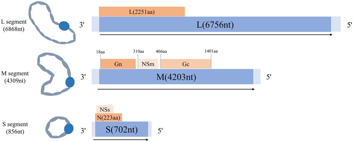 ソフトバンク First Tungstoantimonate-Based Transition-Metal–Lanthanide