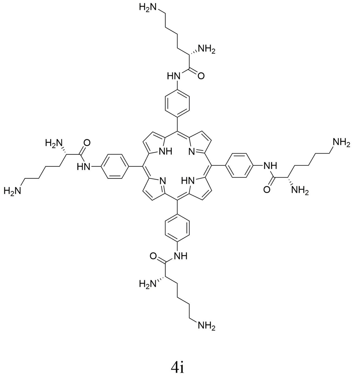 pimpandhostcom-net imgve 00242 1 Frontiers | Mechanism and In Vivo Evaluation: Photodynamic Antibacterial  Chemotherapy of Lysine-Porphyrin Conjugate