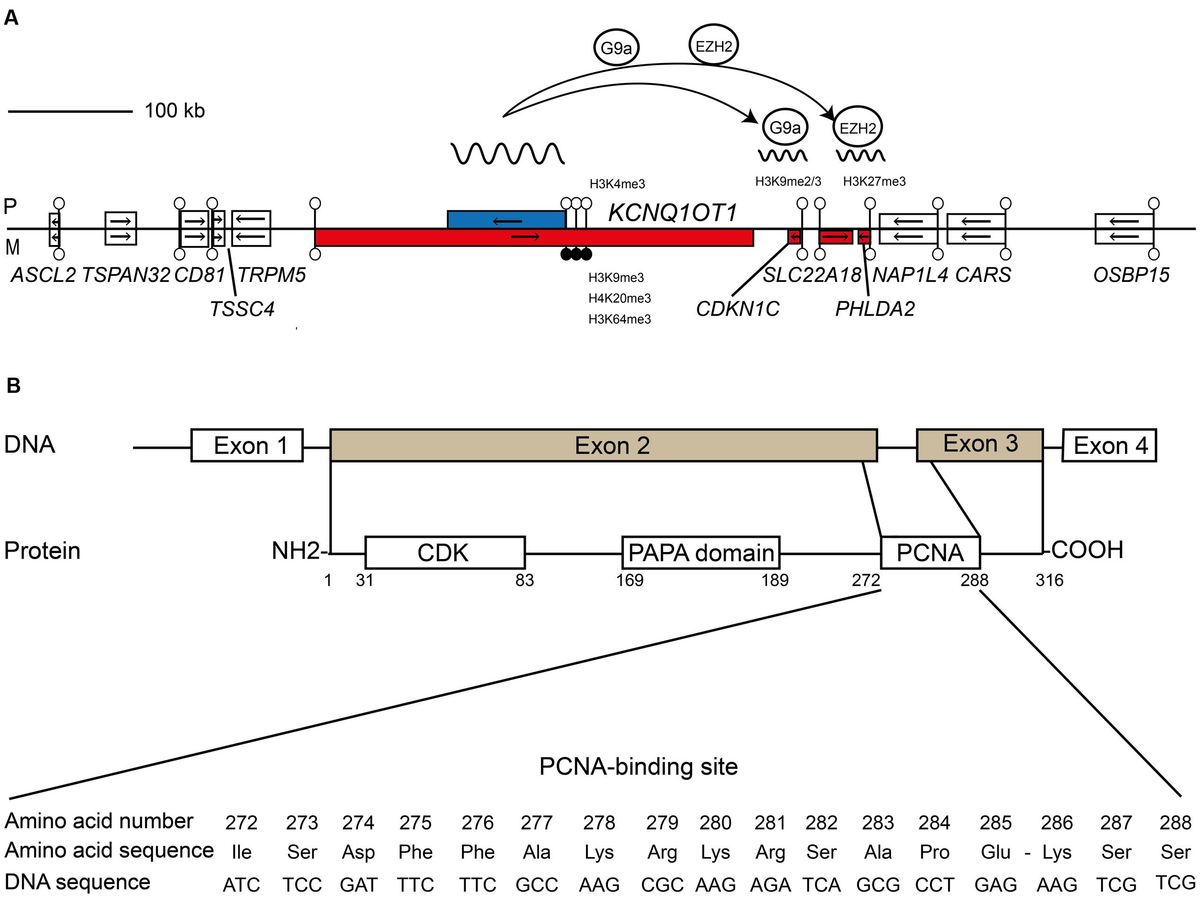 その他 dnk 282081-1 TE Connectivity | Mouser 日本