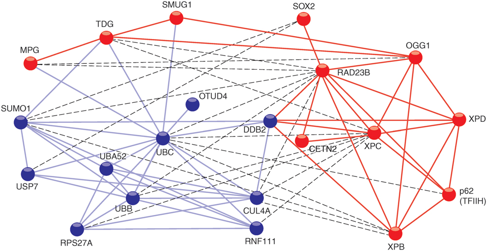 fgene-07-00068-g001.jpg