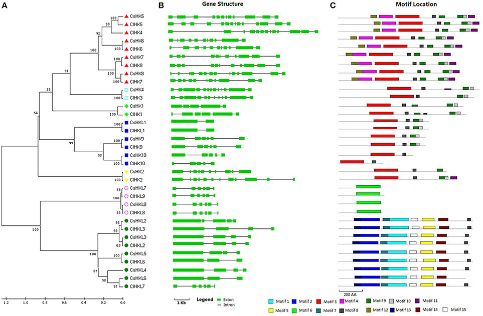 The Interaction Network and Signaling Specificity of Two