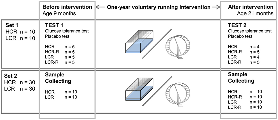 ccc MCP - Config-1 20 2-20230921 100330-Mappings | PDF