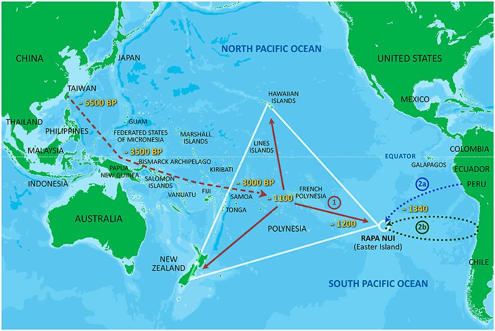 Frontiers Genetic Evidence for a Contribution of Native Americans to