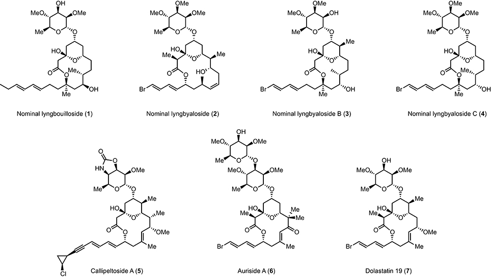 Frontiers | Total Synthesis of Putative 11-epi