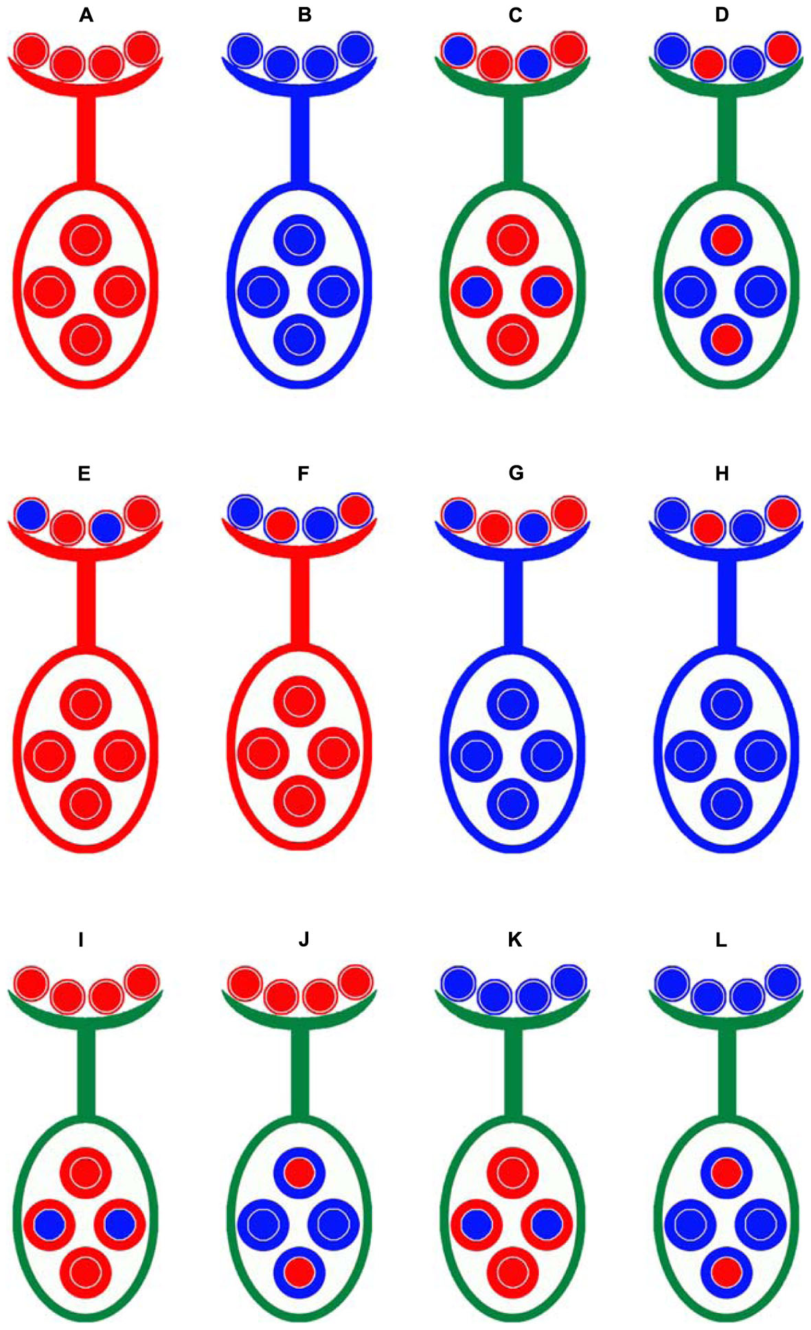 fpls-07-02037-g001.jpg